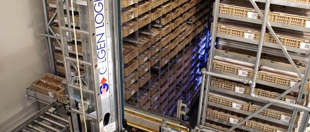 Pallets stacked inside a freezer warehouse