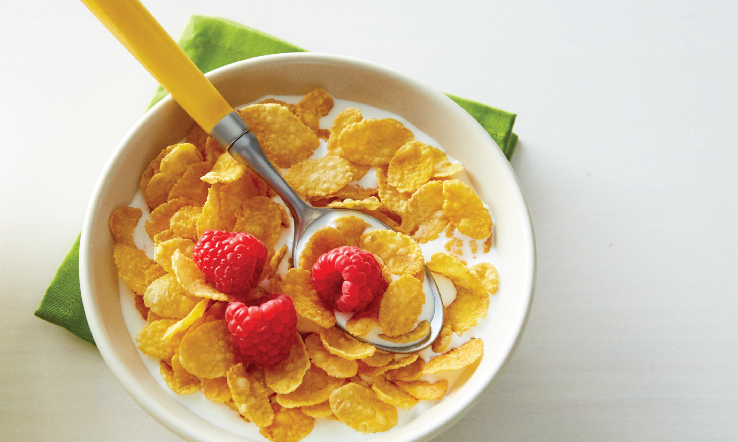 https://www.zionmarketresearch.com/report/cereal-ingredients-market