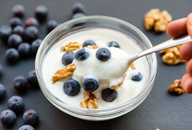 High Protein Yogurt