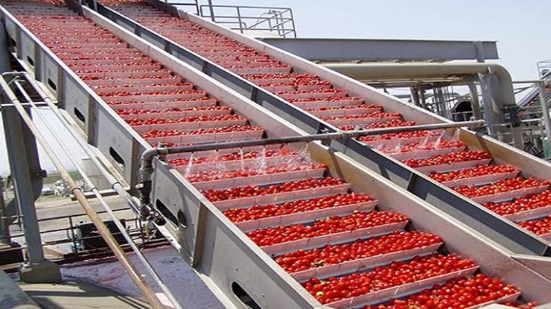 Tomato Processing Market