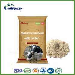 Global Cattle Feed Feed Additives Market 