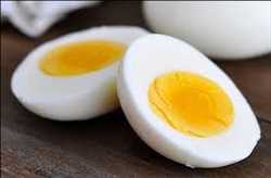 Global Egg Protein Market 
