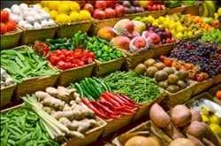 Global Food Agriculture Technology and Products Market 