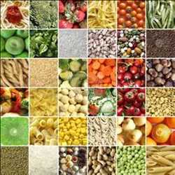 Global Food Texture Market 