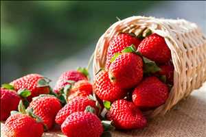 Fresh Strawberry Market