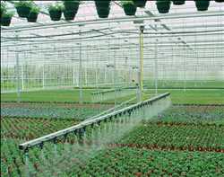 Greenhouse Irrigation Systems