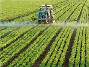 Global-Herbicide-Market.jpg