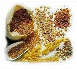 Insoluble Dietary Fiber