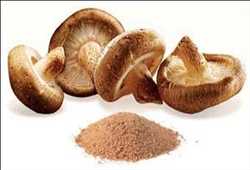 Mushroom Extracts
