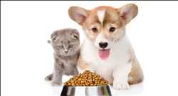 Pet Food Nutraceutical
