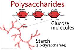 Global Polysaccharides Market 