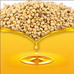 Refined Soy Lecithin