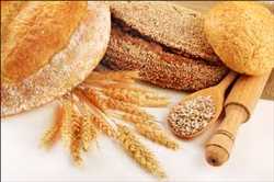 Wheat Gluten Isolate