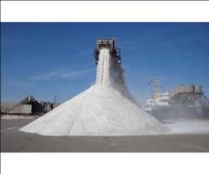 Global Bagged Salt Market Trend
