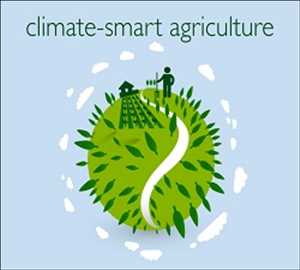 Global Climate-Smart Agriculture Market Insights