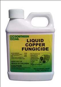 Global Copper Fungicides Market Analysis