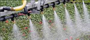 Global Water-Soluble Fertilizers Market Insights