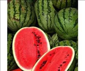Global Watermelon Seeds Market Forecast