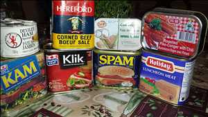 Global Canned Meat Market Historical Data