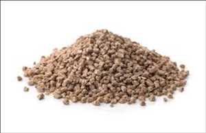 Global Compound Feed Market Trend