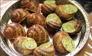 Global Edible Snail Market Insights