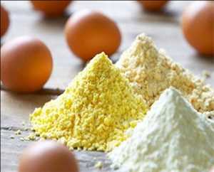 Egg Yolk Powders Market
