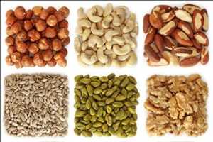 Global Nuts & Seeds Market Growth Rate