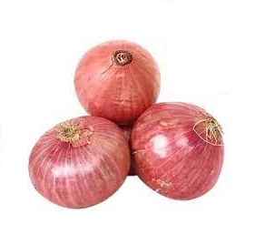 Global Onion Products Market Size
