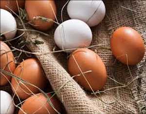 Global Organic Eggs Market Past Data