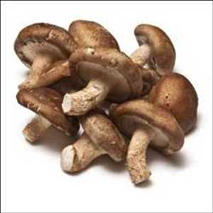 Shiitake Mushrooms Market
