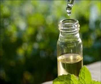 Global Tea Tree Oil Market Growth Margin