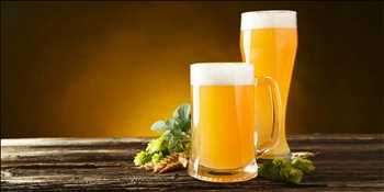 Global White Beer Market Growth Rate